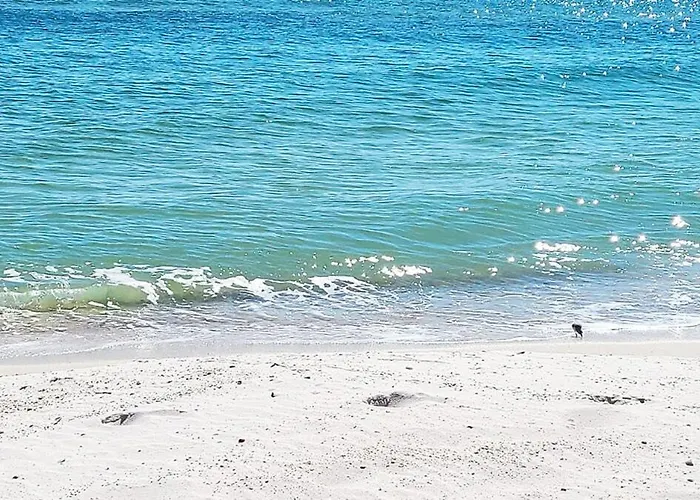 Holiday home Sandy Days Saltwater Poolside Nights Pensacola